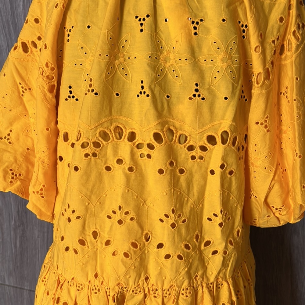 Anthropologie  Tallulah Eyelet dress - Picture 10 of 16